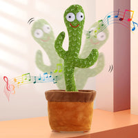 Dancer Cactus